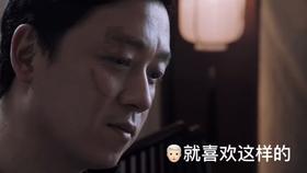 创作猫