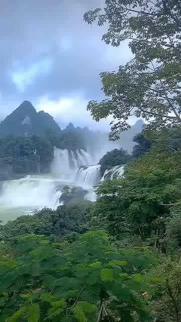 勇闯精灵大陆4